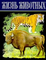 Книга - Лев Александрович Зенкевич - Жизнь животных. Том 6. Млекопитающие, или звери (djvu) читать без регистрации