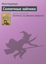 Книга - Иван Кузьмич Андрощук - Солнечные зайчики (fb2) читать без регистрации