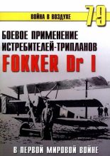 Книга - С. В. Иванов - Боевое применение трипланов Fokker Dr I в Первой Мировой войне (fb2) читать без регистрации