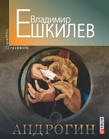 Книга - Владимир Львович Ешкилев - Андрогин (fb2) читать без регистрации
