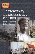 Книга - Е.  Бурденков - Большевик, подпольщик, боевик. Воспоминания И. П. Павлова (fb2) читать без регистрации