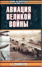 Книга - Владимир Геннадьевич Рохмистров - Авиация великой войны (fb2) читать без регистрации