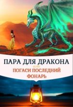 Книга - Алиса  Чернышова - Пара для дракона, или погаси последний фонарь (fb2) читать без регистрации