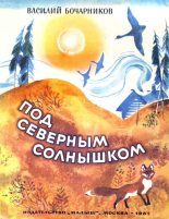 Книга - Василий Алексеевич Бочарников - Под северным солнышком (fb2) читать без регистрации
