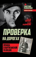 Книга - Георгий Иванович Пяткин - Проверка на дорогах (fb2) читать без регистрации