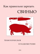 Книга - Автор  Неизвестен - Как правильно зарезать свинью. Технология убоя и разделки туши (fb2) читать без регистрации