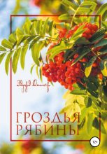 Книга - Эдуард Дипнер - Гроздья Рябины (fb2) читать без регистрации