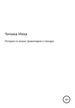 Книга - Инна Максимовна Чичина - История из жизни гуманитария и технаря (fb2) читать без регистрации