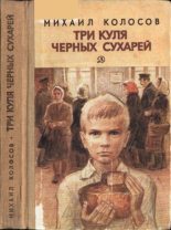Книга - Михаил Макарович Колосов - Три куля черных сухарей (fb2) читать без регистрации