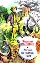 Книга - Владислав Петрович Крапивин - Застава на Якорном Поле (fb2) читать без регистрации