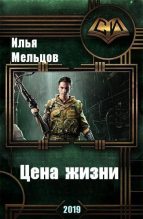 Книга - Илья Николаевич Мельцов - Цена жизни (fb2) читать без регистрации