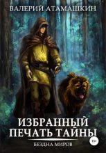 Книга - Валерий Владимирович Атамашкин - Избранный. Печать тайны (fb2) читать без регистрации