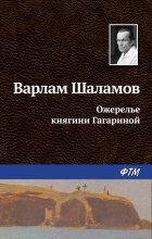 Книга - Варлам Тихонович Шаламов - Ожерелье княгини Гагариной (fb2) читать без регистрации