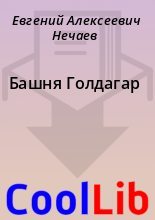 Книга - Евгений Алексеевич Нечаев - Башня Голдагар (fb2) читать без регистрации