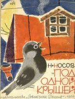 Книга - Николай Николаевич Носов - Под одной крышей (fb2) читать без регистрации