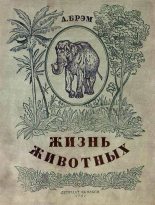 Книга - Валерий Иоильевич Язвицкий - Жизнь животных в рассказах и картинках по А. Брэму (fb2) читать без регистрации