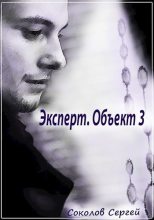 Книга - Сергей Александрович Соколов - Эксперт. Объект 3. (Книга 1) (fb2) читать без регистрации