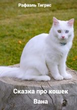 Книга - Тигрис  Рафаэль - Сказка про кошек Вана (fb2) читать без регистрации