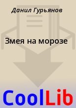 Книга - Данил  Гурьянов - Змея на морозе (fb2) читать без регистрации