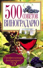 Книга - Юрий Дмитриевич Бойчук - 500 советов виноградарю (fb2) читать без регистрации