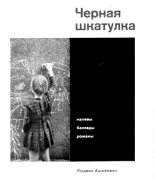 Книга - Людвик  Ашкенази - Черная шкатулка (fb2) читать без регистрации