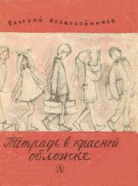Книга - Валерий Михайлович Воскобойников - Тетрадь в красной обложке (fb2) читать без регистрации