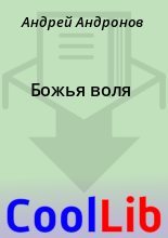 Книга - Андрей  Андронов - Божья воля (fb2) читать без регистрации