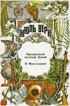 Книга - Жюль  Верн - Прекрасный желтый Дунай. В Магеллании. (fb2) читать без регистрации