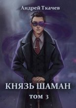 Книга - Андрей Сергеевич Ткачев - Князь шаман. Том 3 (fb2) читать без регистрации
