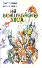 Книга - Джузеппе  Бонавири - Волшебный лес (fb2) читать без регистрации