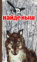 Книга - Николай Николаевич Головин - Найденыш (fb2) читать без регистрации