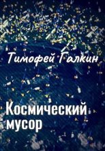 Книга - Тимофей  Галкин - Космический мусор (ознаком) (fb2) читать без регистрации