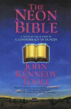 Книга - Джон Кеннеди Тул - Неоновая Библия (fb2) читать без регистрации