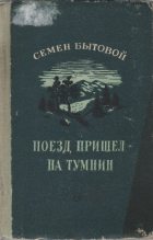 Книга - Семен Михайлович Бытовой - Поезд пришел на Тумнин (fb2) читать без регистрации